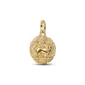 Lion Medallion Charm